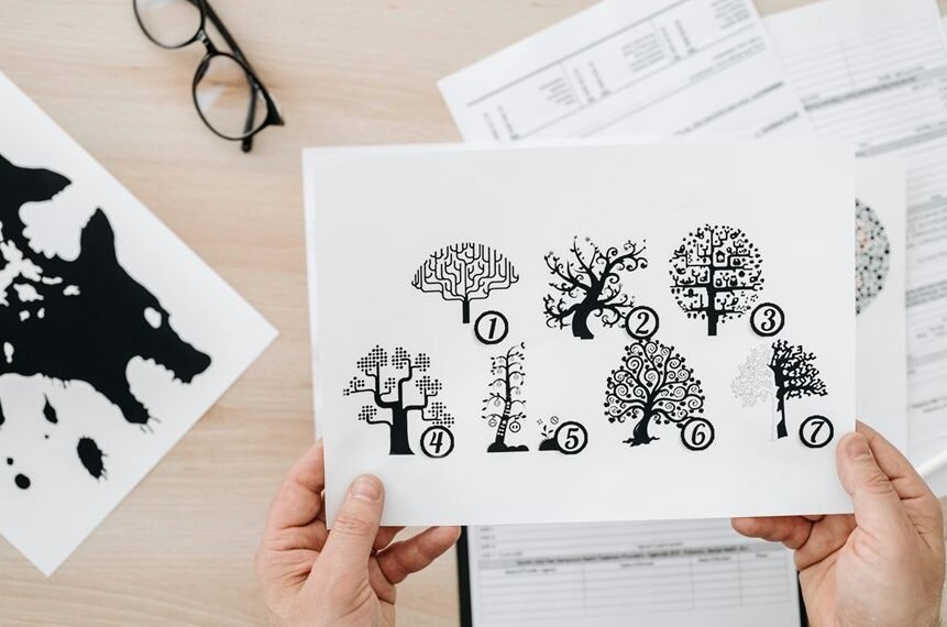 evaluation of numerical codes