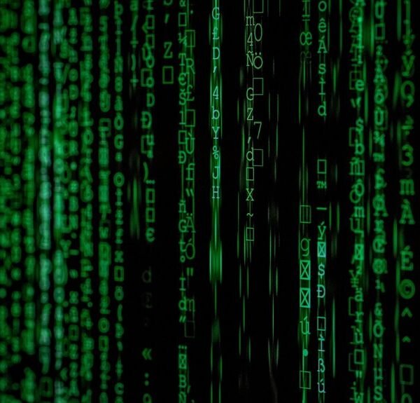 final snapshot of numbers