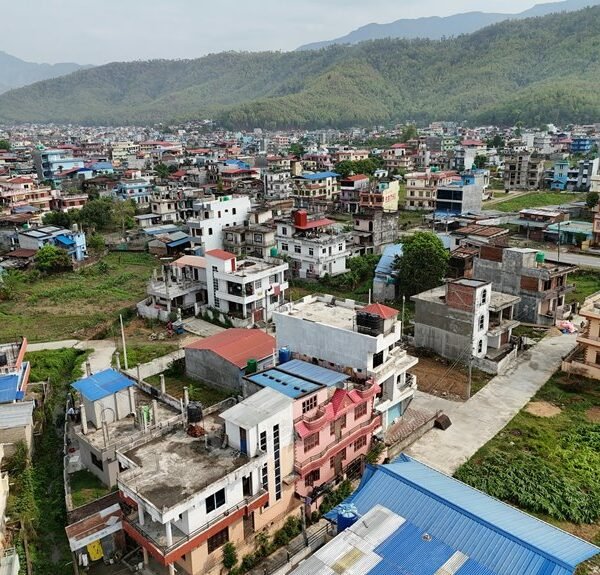 identifier presence summary report